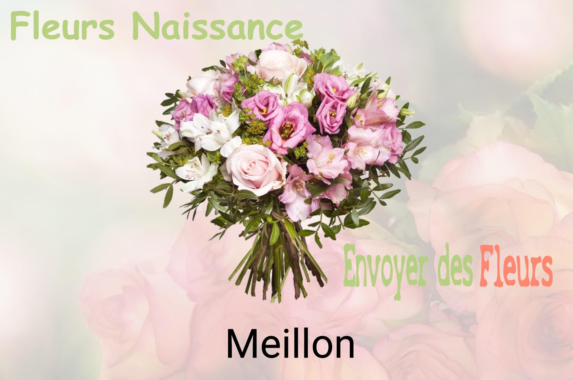Bouquet de fleurs de naissance livré à Meillon