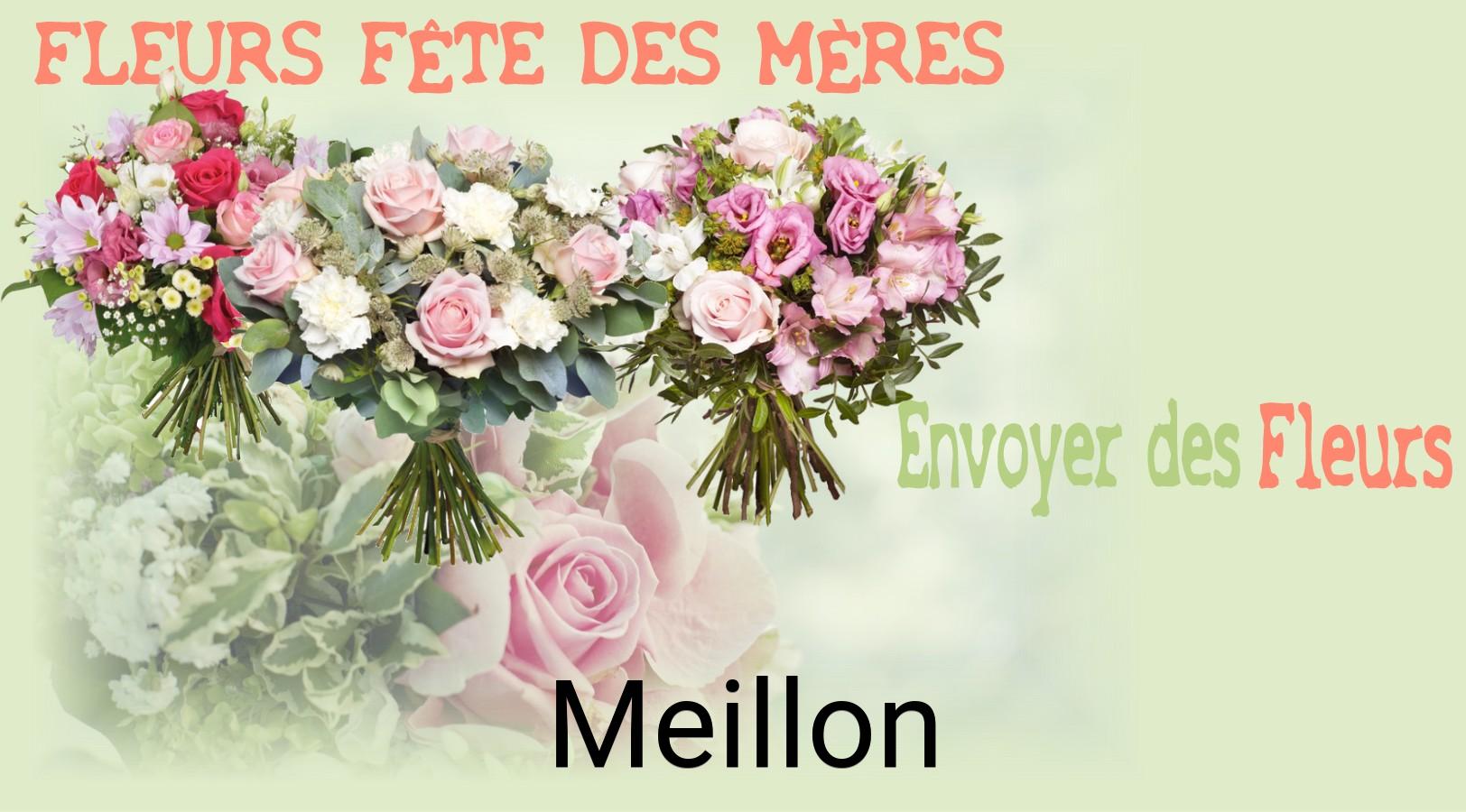 Bouquet de Fête des Mères livré à Meillon